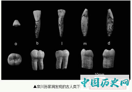 解开栾川“古老儿童”化石密码