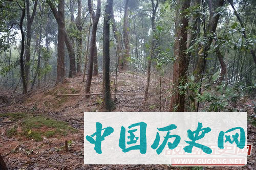 湖南伍市至益阳高速公路文物调查勘探简介