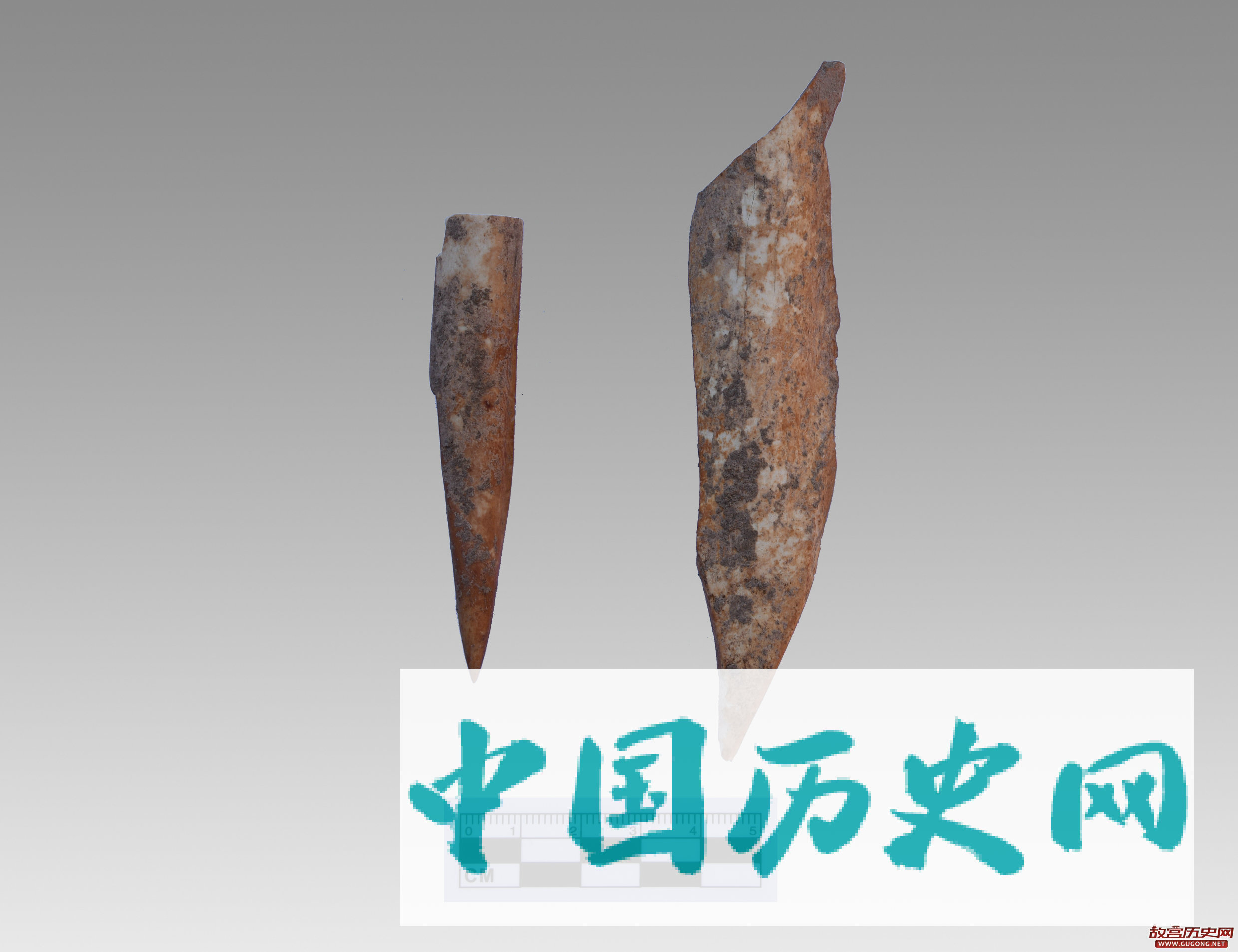 云南武定新村遗址