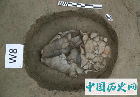 四川成都考古首次发现未成年人以瓮葬形式集中掩埋墓葬