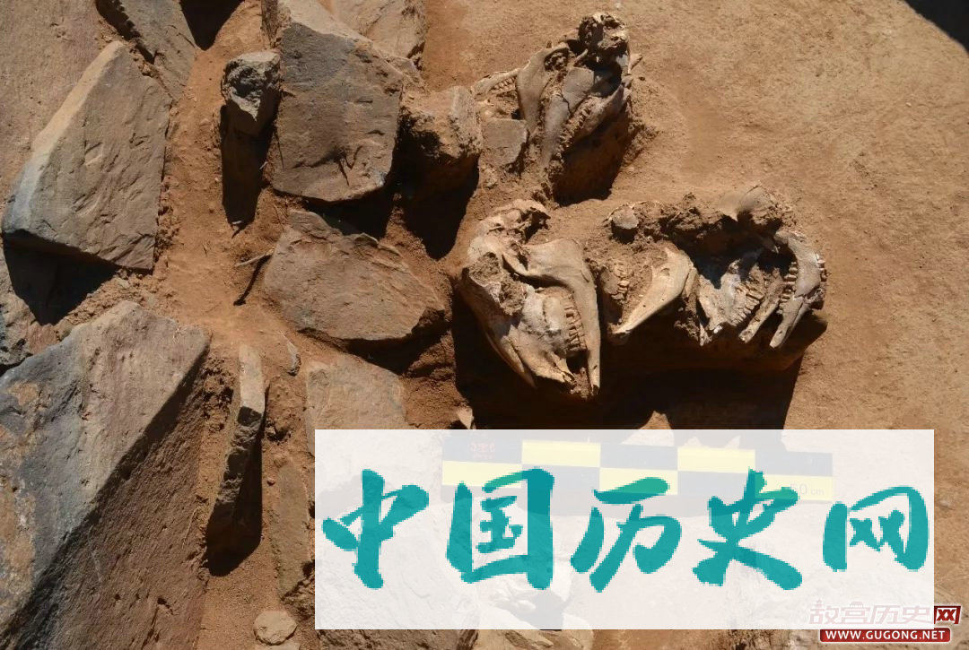 高原探古——吉林大学-蒙古国立大学在蒙古国进行首次联合考古发掘