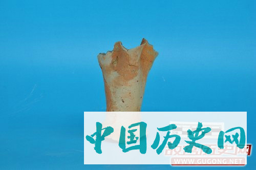 湖南华容七星墩遗址2018年考古发掘简介