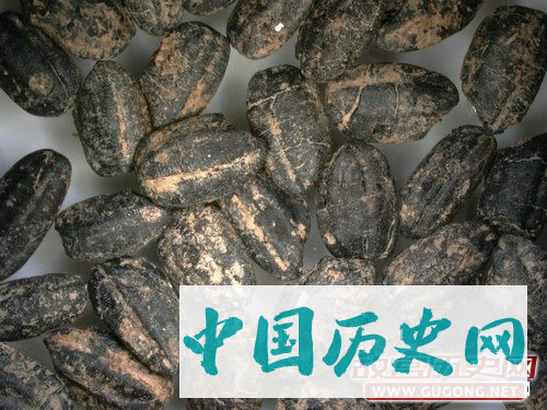 湖南华容七星墩遗址2018年考古发掘简介