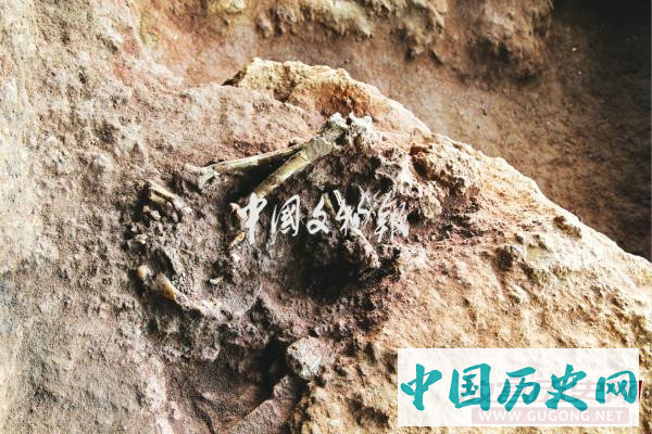 华南新旧石器过渡阶段考古取得重大新突破——广东省英德市青塘遗址发掘与收获