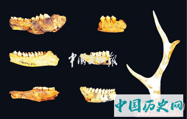 华南新旧石器过渡阶段考古取得重大新突破——广东省英德市青塘遗址发掘与收获