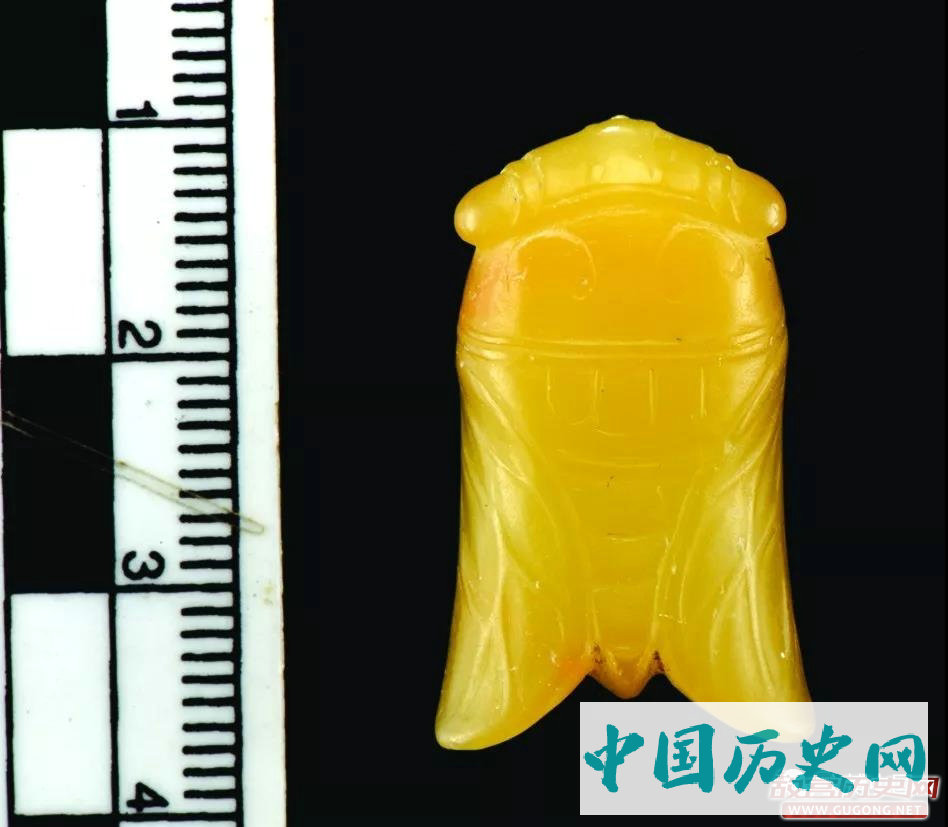 考古中国·长江中游文明进程研究取得重大进展