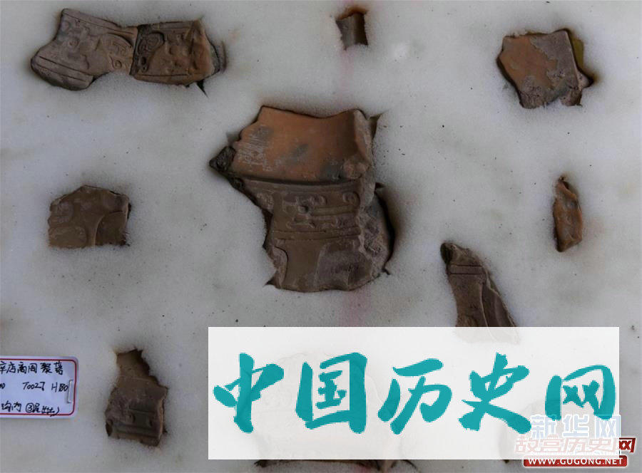 河南安阳辛店遗址出土一批商代晚期青铜礼器