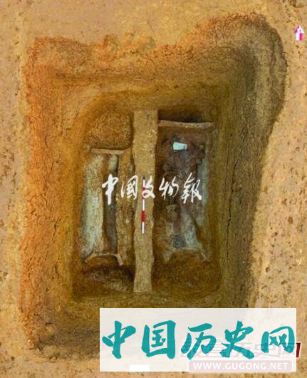 湖北沙洋城河遗址发现屈家岭文化大型墓地