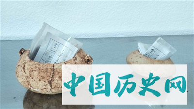 广东河源大顶山发现西周古墓群遗址
