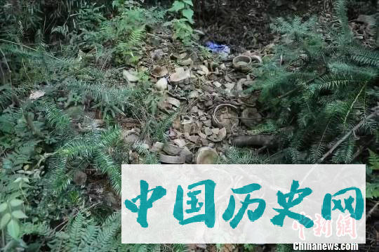 浙江黄岩启动沙埠竹家岭窑址考古发掘