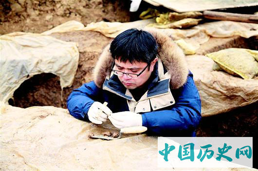 系统发掘揭开五千年前城市样本