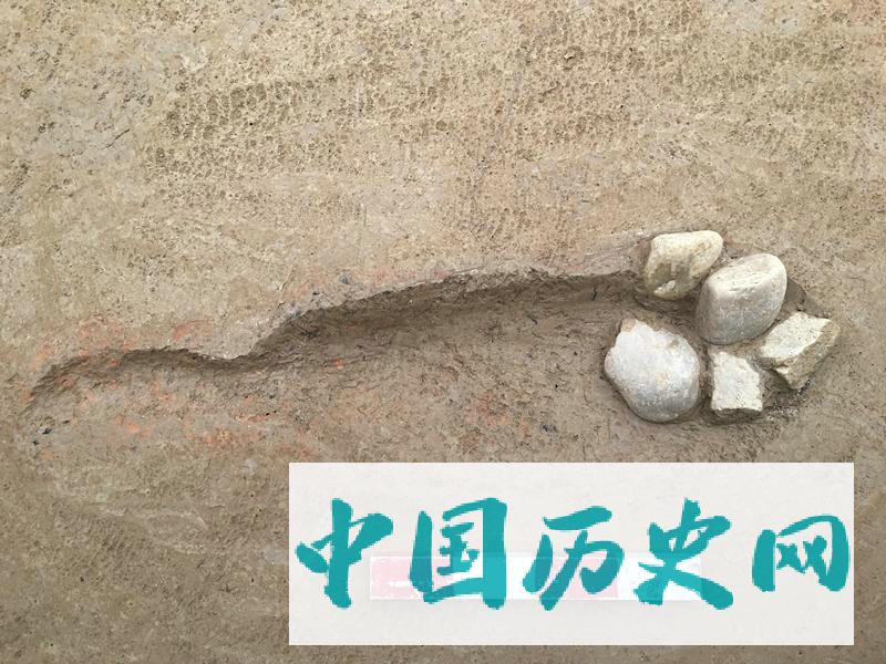 嘉陵江下游发现距今5000年前新石器时代遗址——合川吊嘴遗址考古重要收获