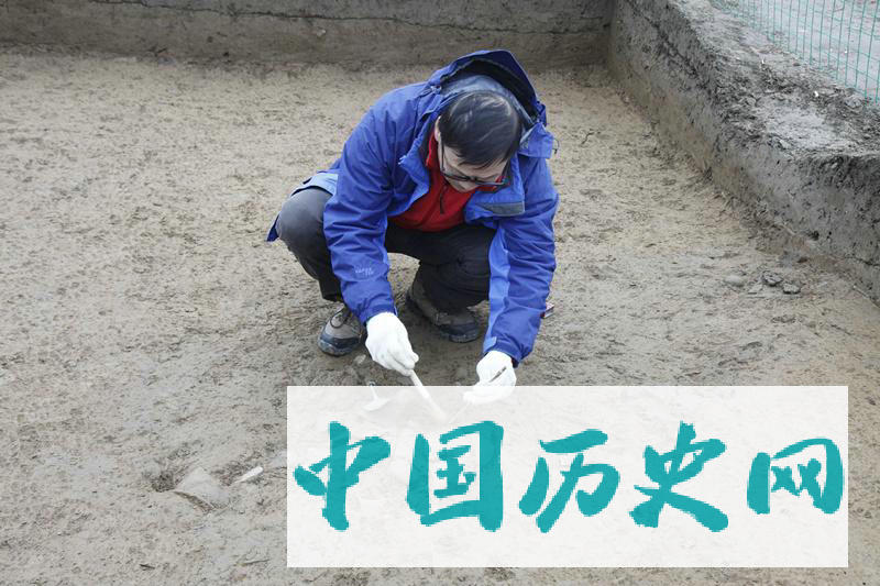 嘉陵江下游发现距今5000年前新石器时代遗址——合川吊嘴遗址考古重要收获