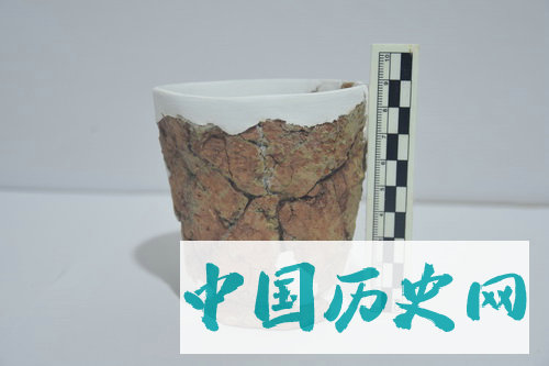 湖南澧县孙家岗遗址墓地2018年发掘主要收获