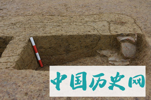 湖南澧县孙家岗遗址墓地2018年发掘主要收获