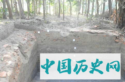 孟加拉国毗诃罗普尔古城考古2018～2019年度新收获