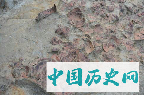 孟加拉国毗诃罗普尔古城考古2018～2019年度新收获