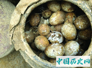 溧阳土墩墓里发现一罐鸡蛋