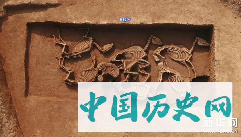 河南三门峡发现西周虢国邦墓 出土随葬品上千件