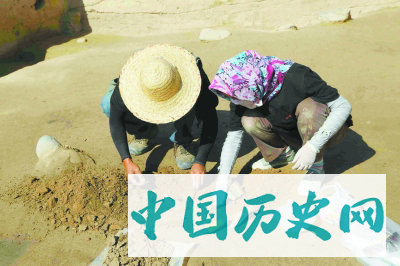 伊犁河流域史前文化序列获有力支撑