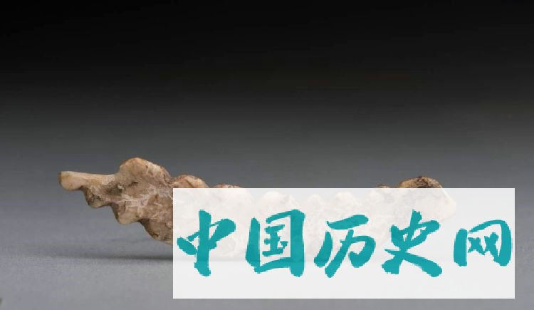 河南巩义双槐树遗址出土五千年前牙雕蚕 见证丝绸之源