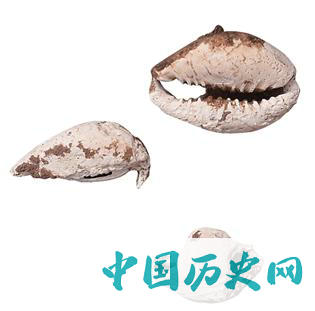 云南武定春秋战国遗址 发现铜戈鱼钩石范