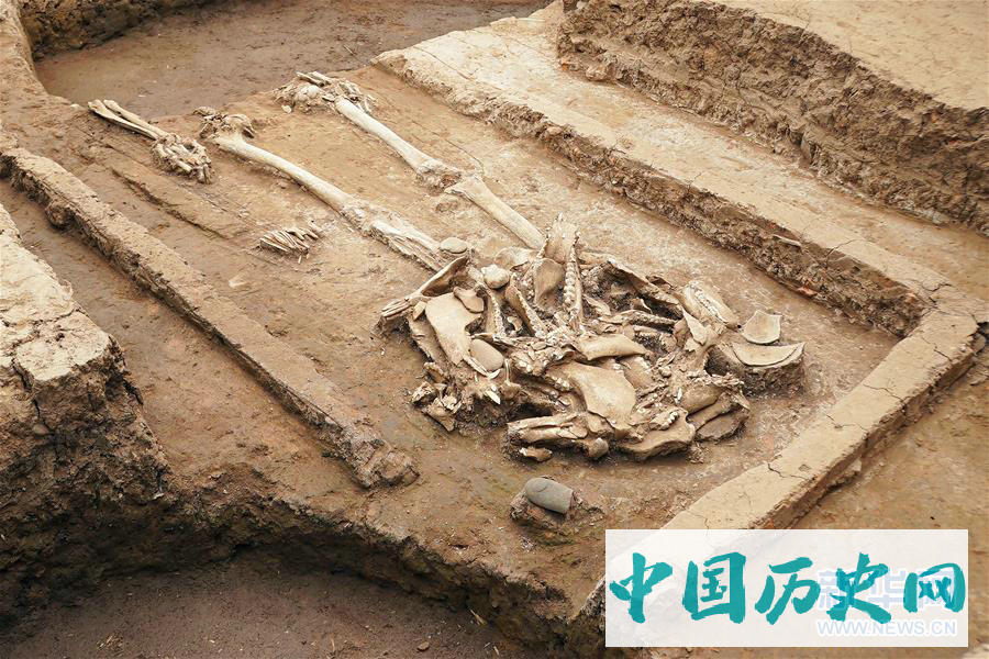 河南南阳发现5000年前玉石器制作中心聚落和疑似氏族首领墓葬