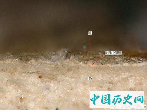 新确认一类长沙窑高温釉上彩绘瓷