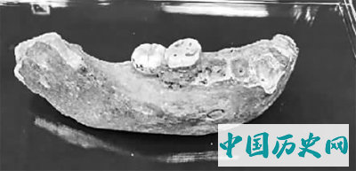丹尼索瓦人或从夏河县来