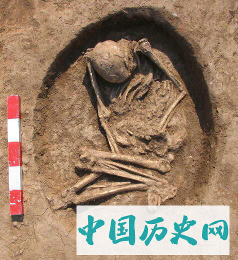三峡后续考古工作与阶段性收获综述