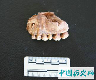 四川凉山乌东德水电站考古发现石棺葬群
