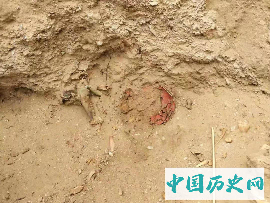 吉林大学2019年度赴蒙古联合考古发掘成果概要