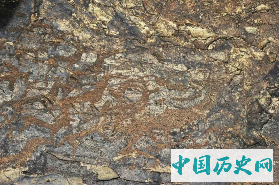 吉林大学2019年度赴蒙古联合考古发掘成果概要