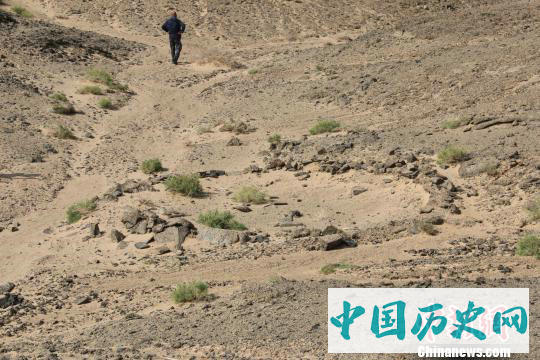 内蒙古阿拉善多处文物遗址取得重大发现