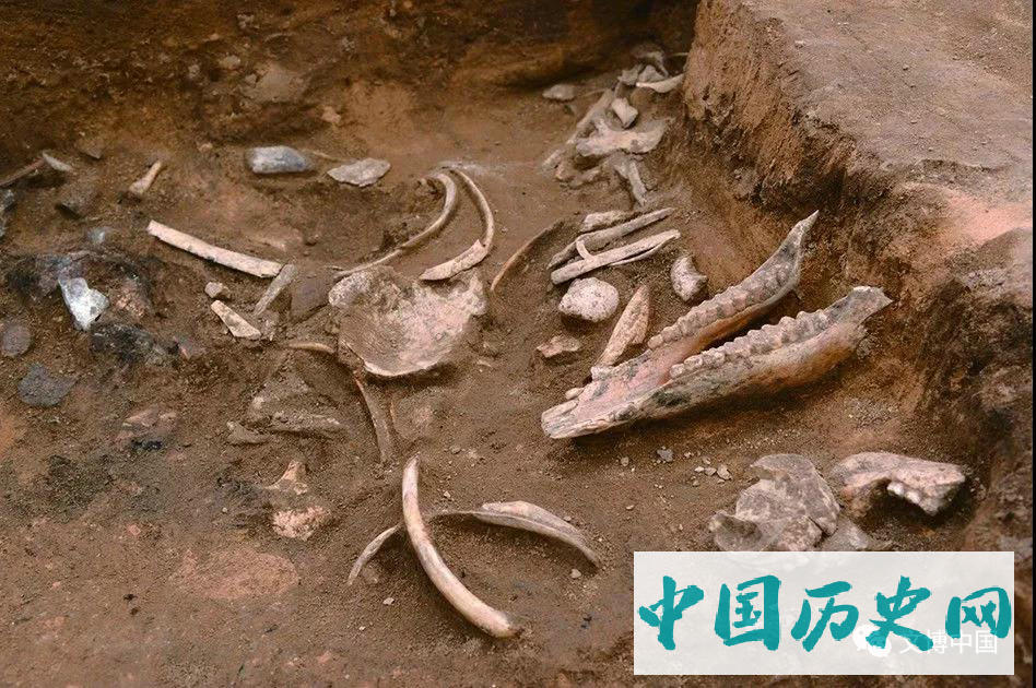 河北康保兴隆遗址发现旧石器末期至新石器早中期遗存