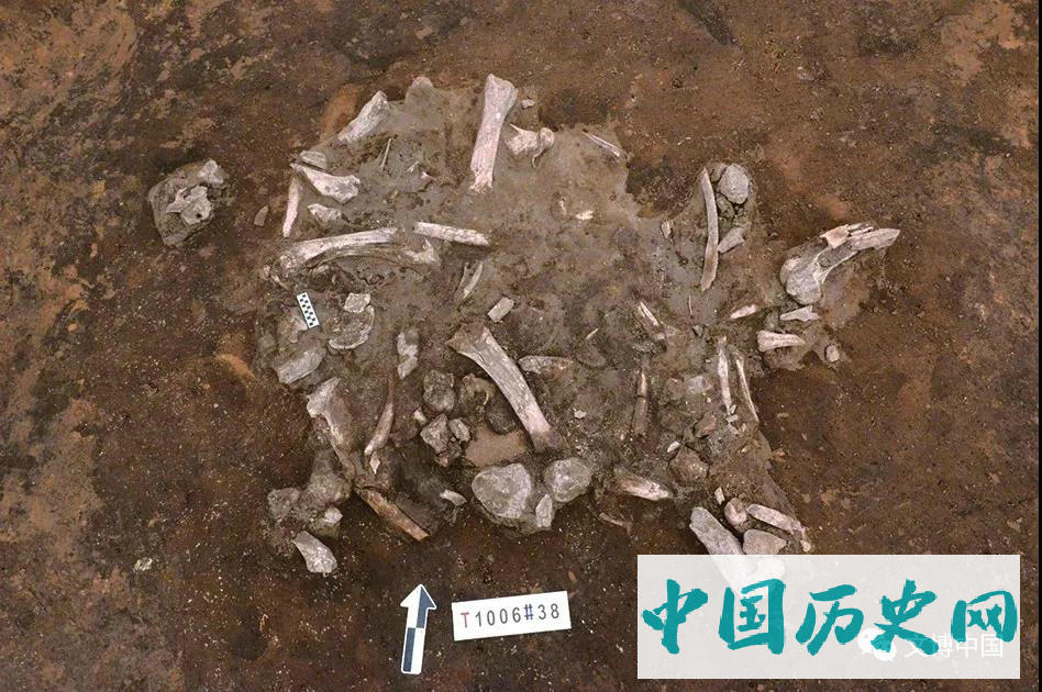 河北康保兴隆遗址发现旧石器末期至新石器早中期遗存