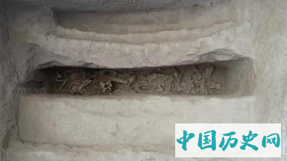 国家文物局发布四项“考古中国”丝绸之路考古重大成果之三：青海都兰热水墓群2018血渭一号墓