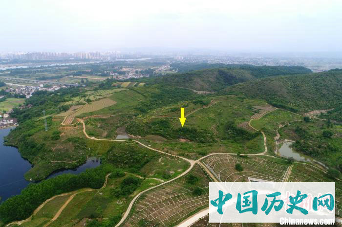 秦岭地区首次发掘出土早期现代人化石