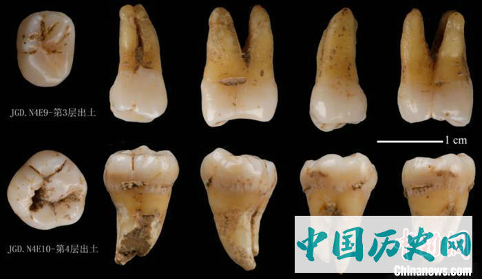 秦岭地区首次发掘出土早期现代人化石