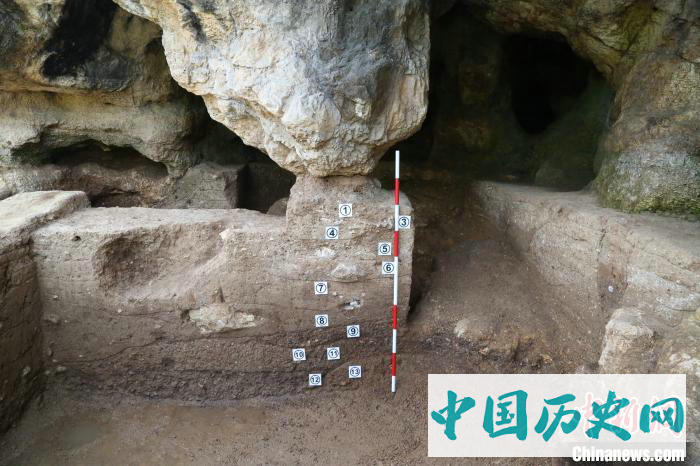 秦岭地区首次发掘出土早期现代人化石