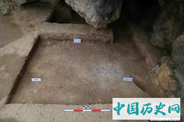 秦岭地区首次发掘出土早期现代人化石