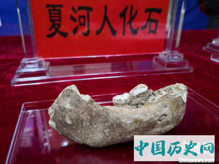 夏河丹尼索瓦人研究入选2019世界十大考古发现