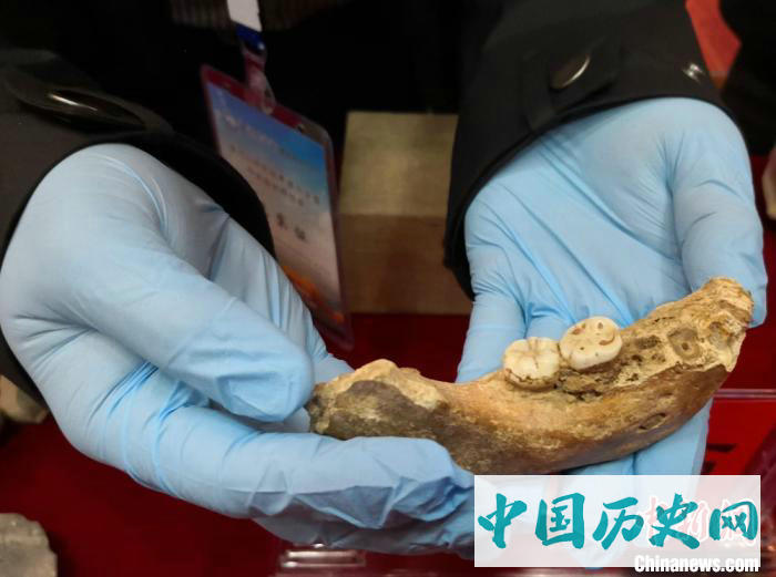 夏河丹尼索瓦人研究入选2019世界十大考古发现
