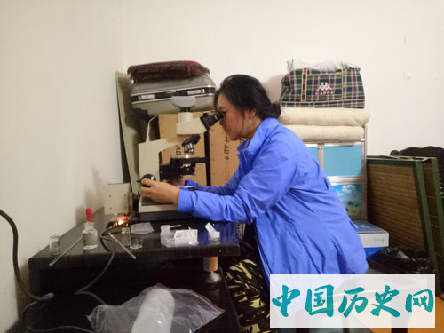 湖南华容七星墩遗址2019年考古工作简介