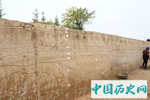 湖南华容七星墩遗址2019年考古工作简介