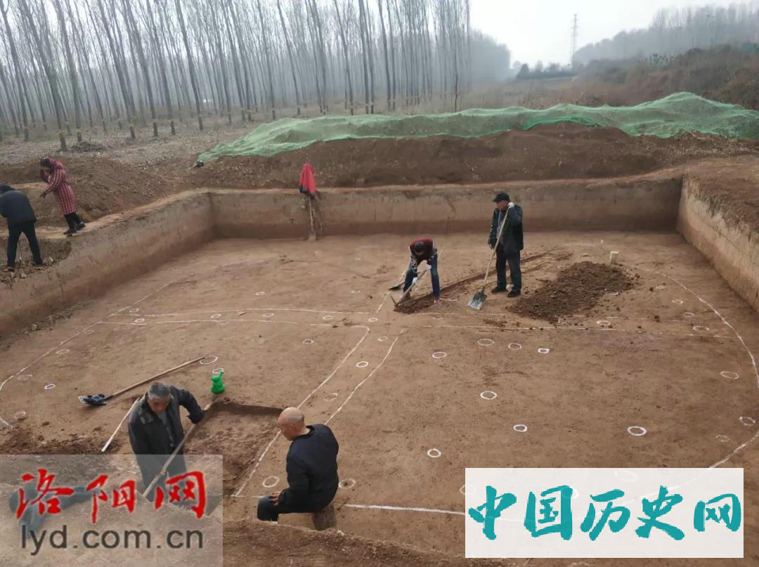 洛阳考古新发现！商代的“国家粮仓”找到了！