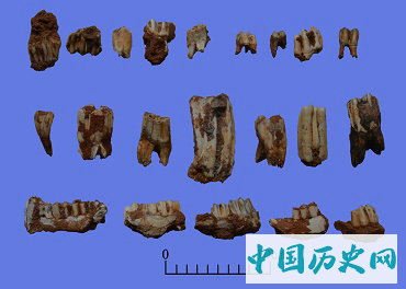 云南鹤庆蝙蝠洞遗址发掘收获