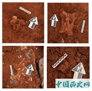 云南鹤庆蝙蝠洞遗址发掘收获