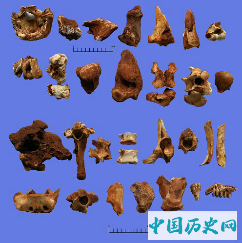 云南鹤庆蝙蝠洞遗址发掘收获