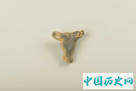 云南晋宁河泊所遗址发掘概况